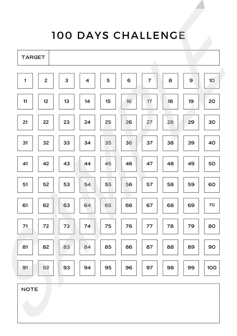 100 Day Challenge Planner
